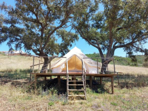 Lost Paradise - A night into the Alentejo!